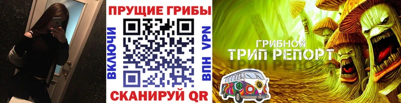 Галлюциногенные грибы мицелий как найти Бежецк